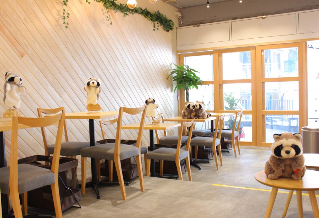 店舗情報 | Raccoon Cafe